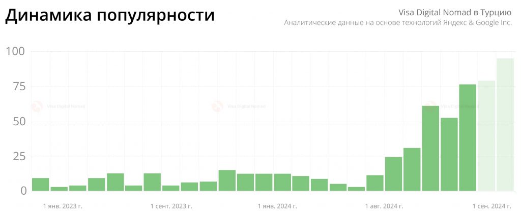 Статистика популярности визы номад в Турцию